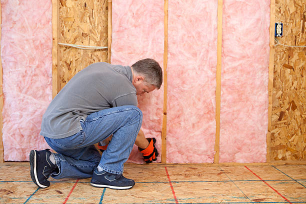 Best Specialty Insulation in Des Moines, IA